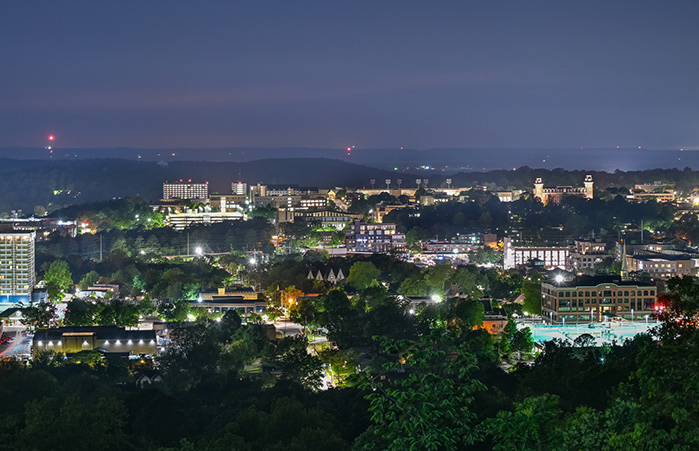 Downtown view from the hills.